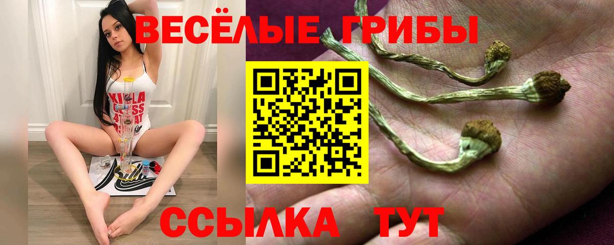 Псилоцибиновые грибы MAGIC MUSHROOMS Торжок