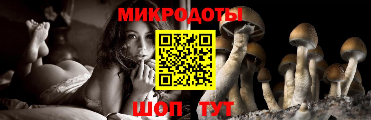 Торжок  Галлюциногенные грибы мицелий  Вход с VPN 