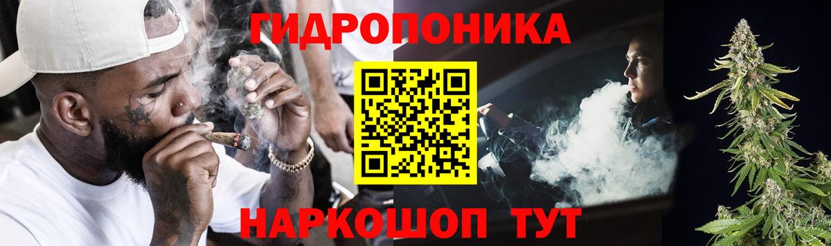 Бошки Шишки Bruce Banner  Бошки марихуана OG Kush  Торжок  Бошки Шишки THC 21%  Вход с VPN 